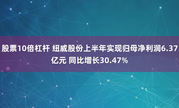 股票10倍杠杆 纽威股份上半年实现归母净利润6.37亿元 同比增长30.47%